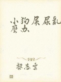 小狗屎尿乱拉怎么办