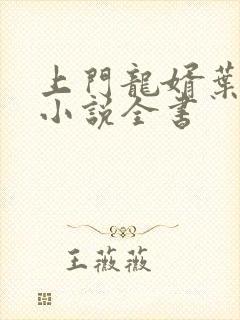 上门龙婿叶辰的小说全书