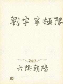 刘宇宁极限挑战