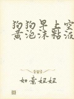 狗狗早上空腹吐黄泡沫粘液