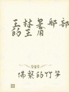 王林是哪部小说的主角