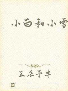 小白和小雪