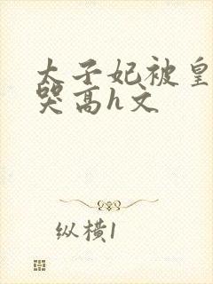 太子妃被皇上c哭高h文