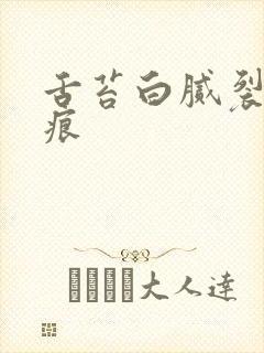 舌苔白腻裂纹齿痕