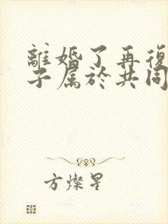 离婚了再复婚房子属于共同财产吗