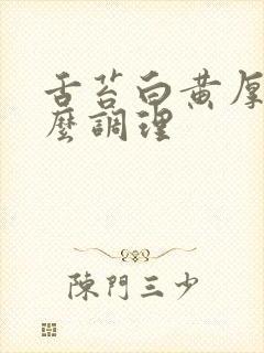 舌苔白黄厚腻怎么调理