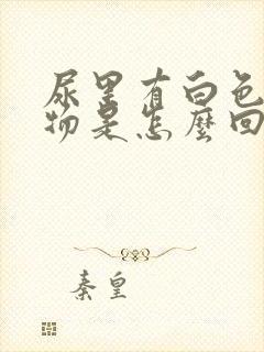 尿里有白色混浊物是怎么回事