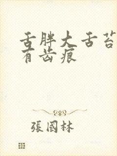 舌胖大舌苔厚黄有齿痕封面