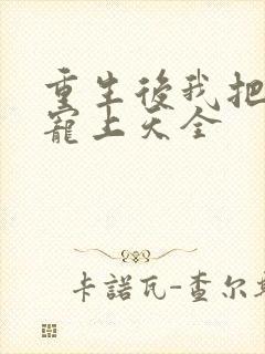 重生后我把夫君宠上天全