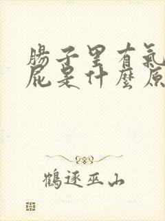 肠子里有气老放屁是什么原因