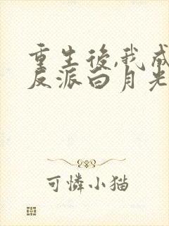 重生后,我成了反派白月光