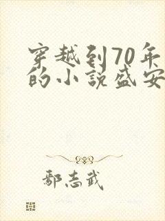 穿越到70年代的小说盛安宁免费阅读