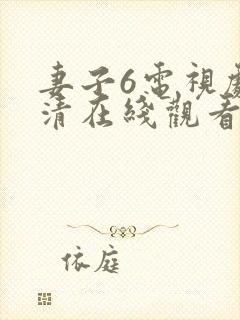 妻子6电视剧高清在线观看封面