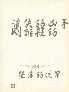 消失的凶手段志刚谁杀的封面