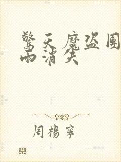 惊天魔盗团2躺雨消失