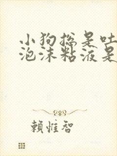 小狗总是吐白色泡沫粘液是怎么回事封面