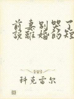 前妻别哭了是你说离婚的短剧