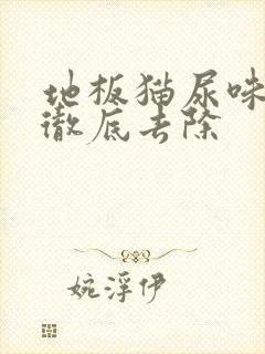 地板猫尿味怎么彻底去除