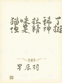 猫咪拉稀了呕吐但是精神挺好的