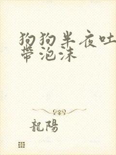 狗狗半夜吐黄水带泡沫