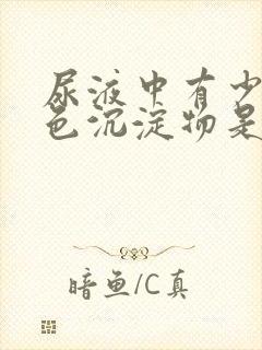 尿液中有少量白色沉淀物是什么原因封面