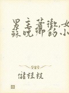 男主萧彻,女主苏晚卿的小说