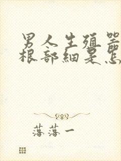 男人生殖器勃起根部细是怎么回事封面