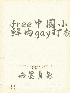 free中国小鲜肉gay打桩