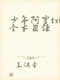 少年阿宾txt全本目录