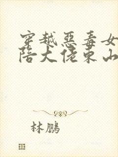 穿越恶毒女配我陪大佬东山再起小说封面