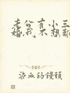 老公有小三要离婚,我不想离封面