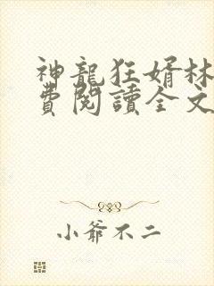 神龙狂婿林凡免费阅读全文封面