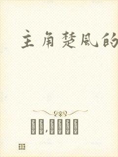 主角楚风的小说