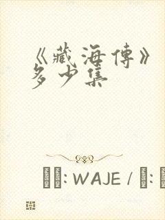 《藏海传》一共多少集