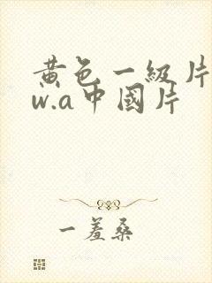 黄色一级片www.a中国片