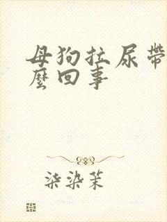 母狗拉尿带血怎么回事