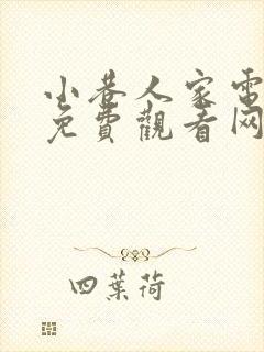 小巷人家电视剧免费观看网盘