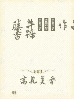 藤井リアナ作品番号