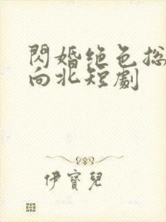 闪婚绝色总裁张向北短剧