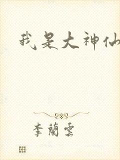 我是大神仙小说封面
