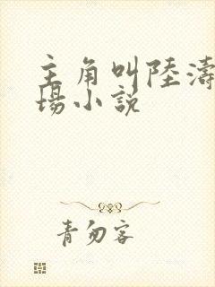 主角叫陆涛的官场小说