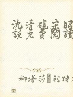 沈清砚宋昭汐小说免费阅读最新章节封面