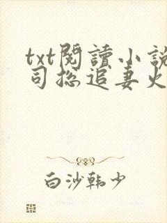 txt阅读小说司总追妻火葬场