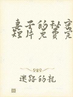 妻子的秘密网络短片免费完整版封面