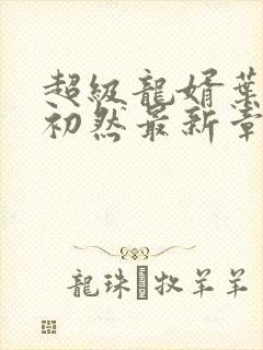 超级龙婿叶辰萧初然最新章节封面