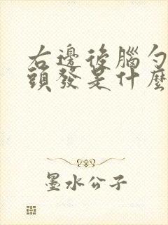 右边后脑勺有白头发是什么原因