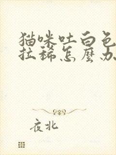 猫咪吐白色泡沫拉稀怎么办