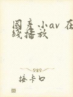 国产小av 在线播放