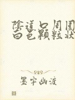 阴道口周围出现白色颗粒状