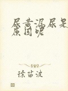 尿黄漏尿是什么原因呢